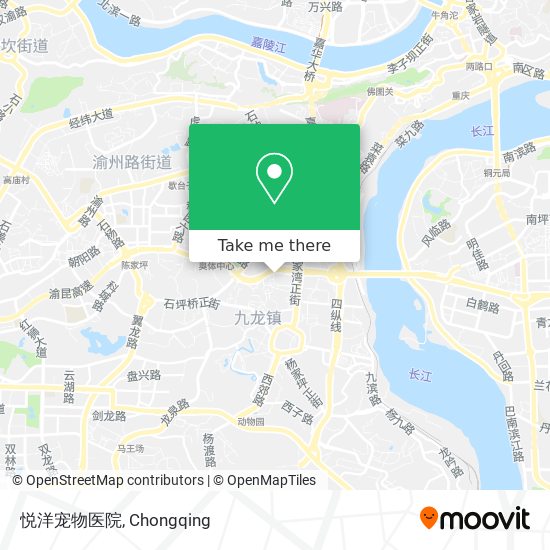 悦洋宠物医院 map
