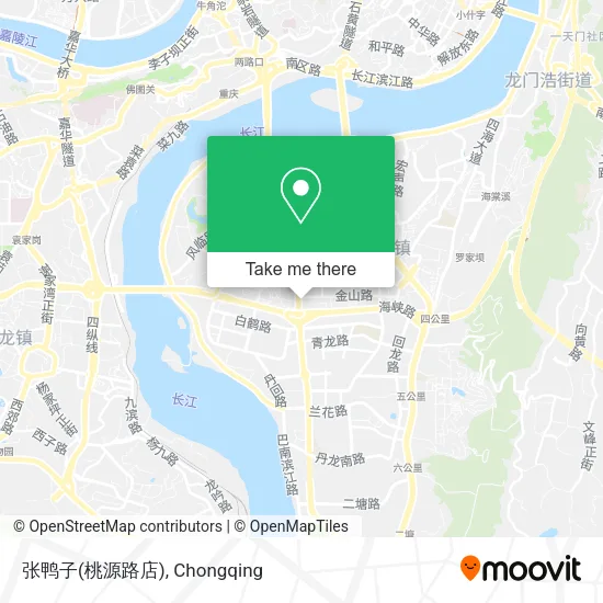 张鸭子(桃源路店) map
