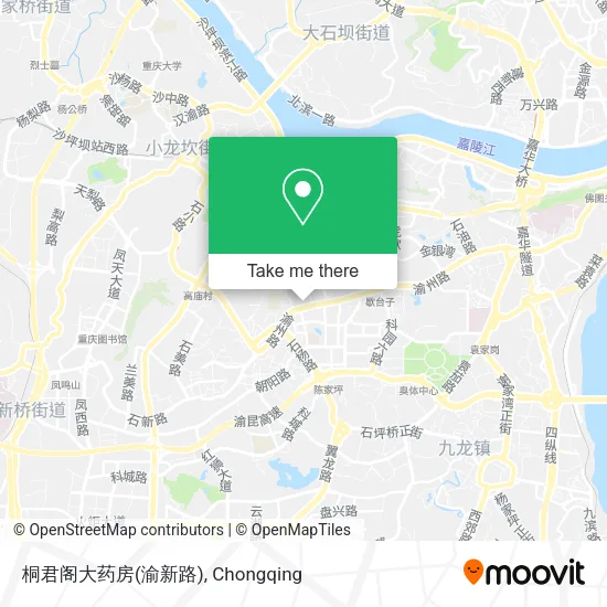 桐君阁大药房(渝新路) map