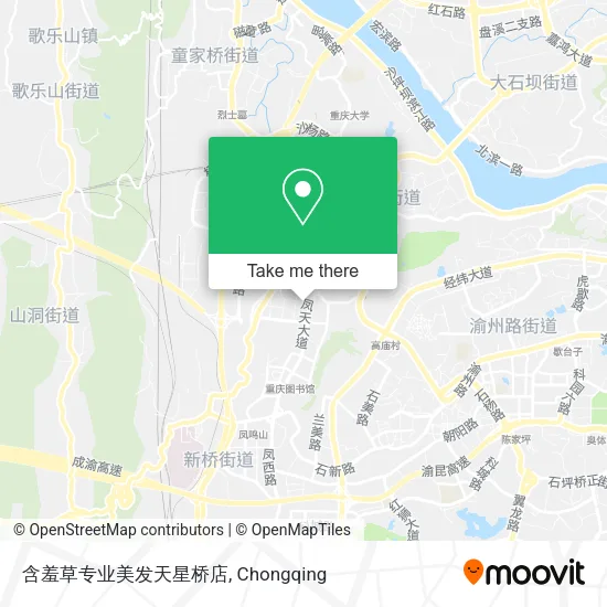 含羞草专业美发天星桥店 map