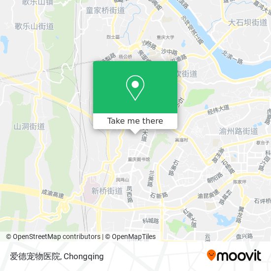 爱德宠物医院 map