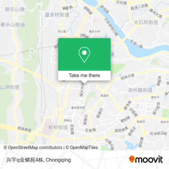 兴宇q金鳞苑4栋 map