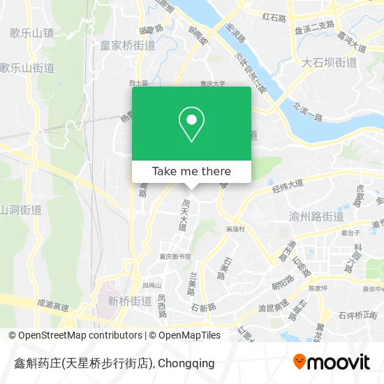 鑫斛药庄(天星桥步行街店) map