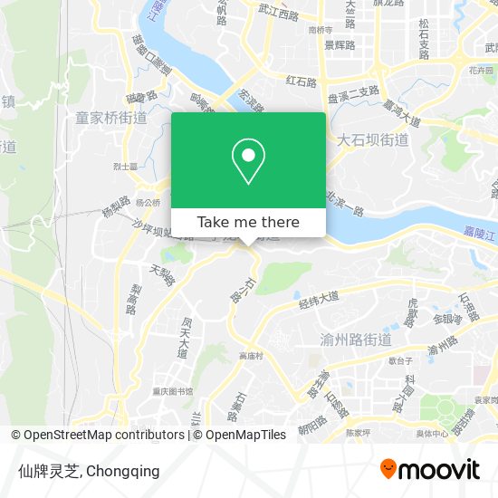 仙牌灵芝 map