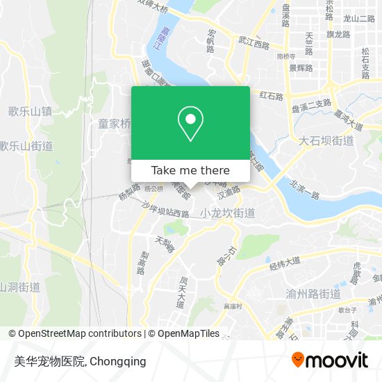 美华宠物医院 map