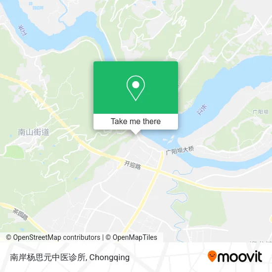 南岸杨思元中医诊所 map