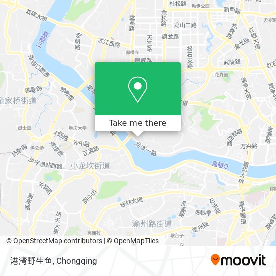 港湾野生鱼 map