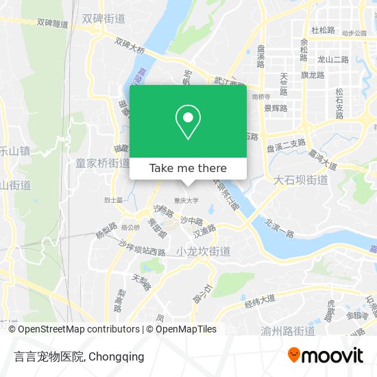 言言宠物医院 map