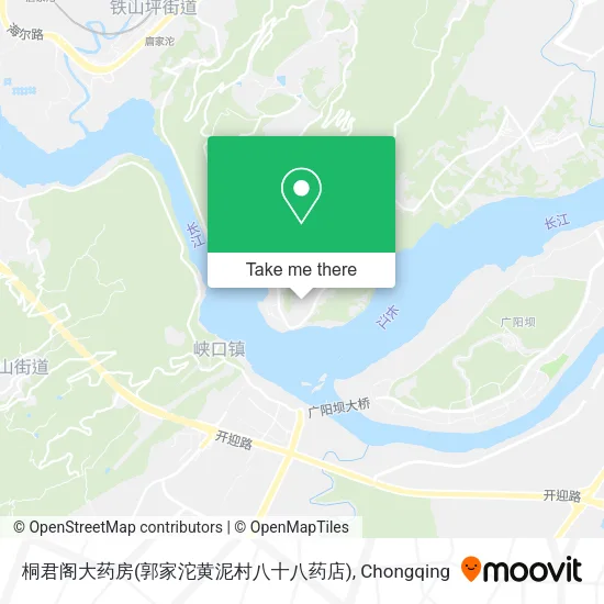 桐君阁大药房(郭家沱黄泥村八十八药店) map