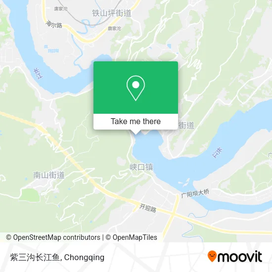 紫三沟长江鱼 map