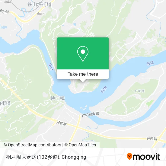 桐君阁大药房(102乡道) map