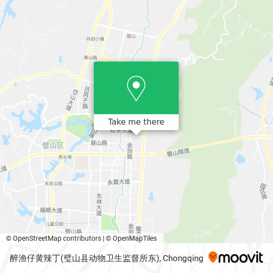 醉渔仔黄辣丁(璧山县动物卫生监督所东) map