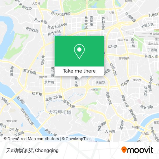 天e动物诊所 map