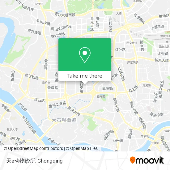 天e动物诊所 map