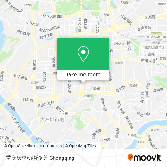重庆庆林动物诊所 map