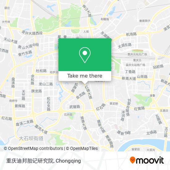重庆迪邦胎记研究院 map