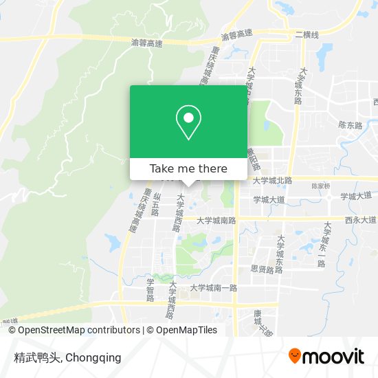 精武鸭头 map
