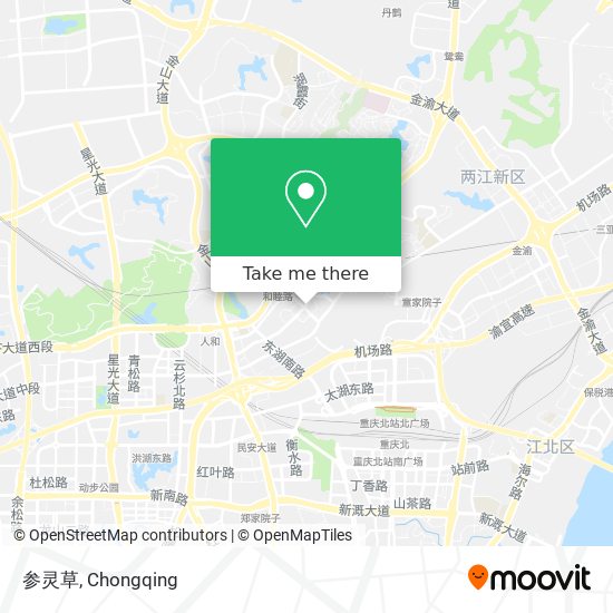 参灵草 map