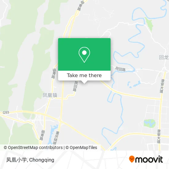 凤凰小学 map