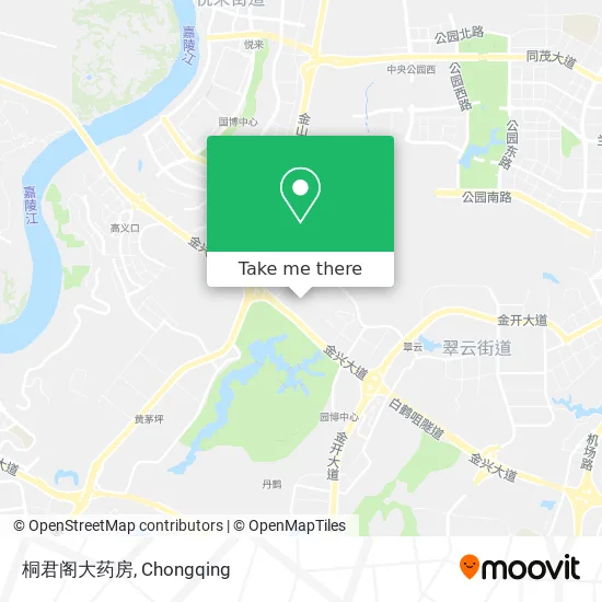 桐君阁大药房 map