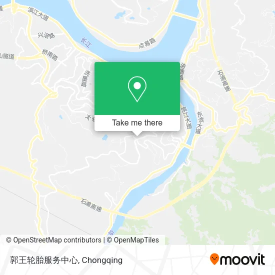 郭王轮胎服务中心 map