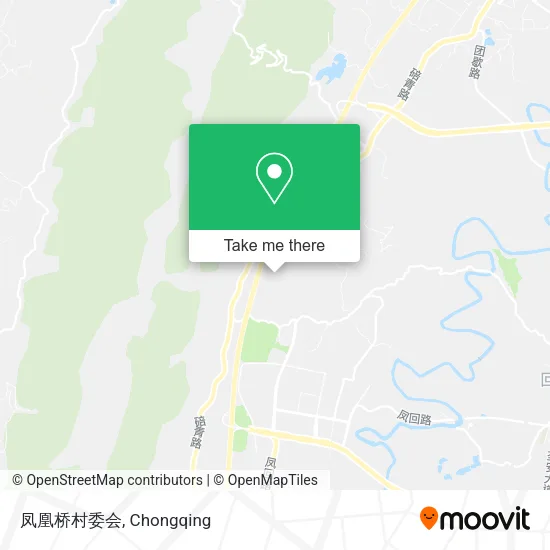 凤凰桥村委会 map