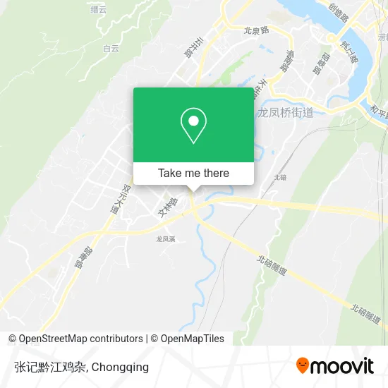 张记黔江鸡杂 map