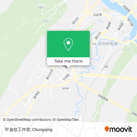 甲蛊纹工作室 map