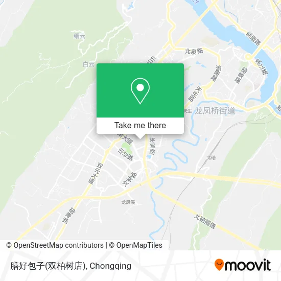 膳好包子(双柏树店) map