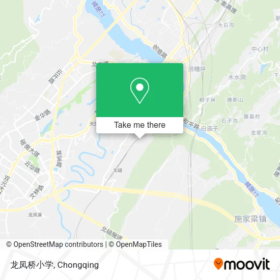 龙凤桥小学 map