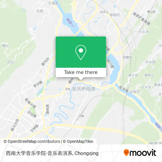 西南大学音乐学院-音乐表演系 map