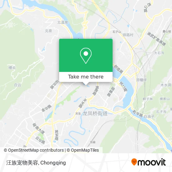 汪族宠物美容 map
