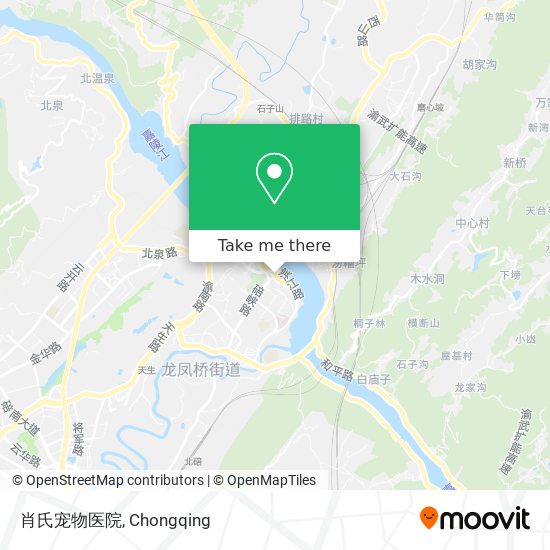 肖氏宠物医院 map