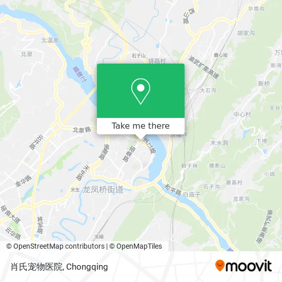 肖氏宠物医院 map