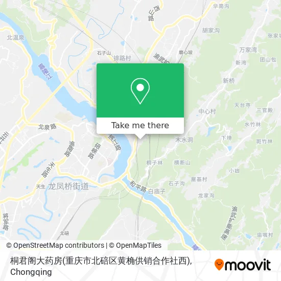 桐君阁大药房(重庆市北碚区黄桷供销合作社西) map