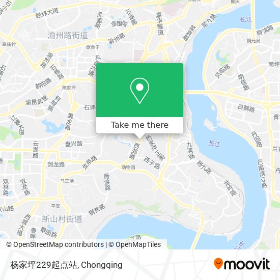 杨家坪229起点站 map