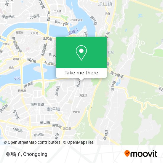 张鸭子 map