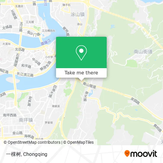 一棵树 map