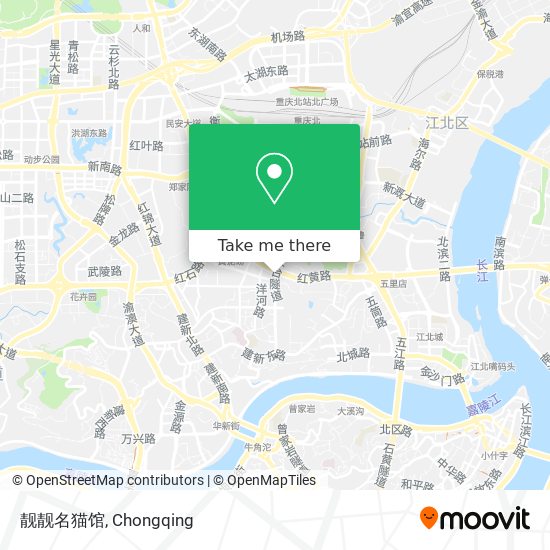 靓靓名猫馆 map