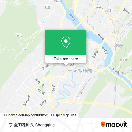 正宗隆江猪脚饭 map