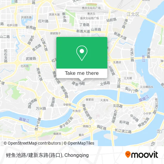 鲤鱼池路/建新东路(路口) map