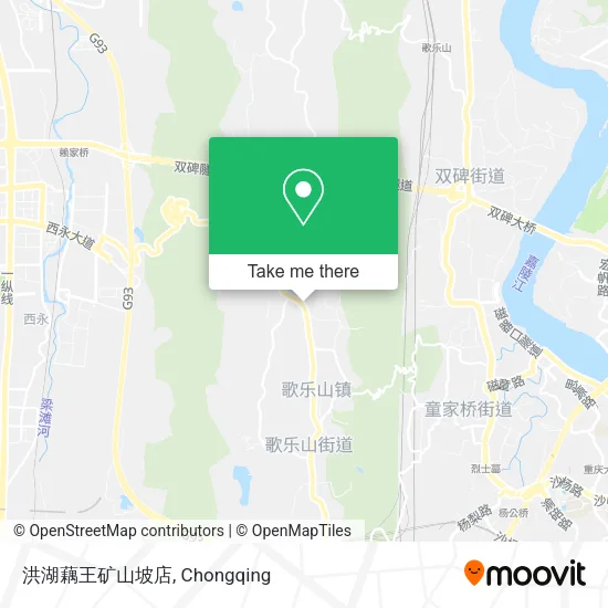 洪湖藕王矿山坡店 map