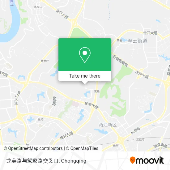 龙美路与鸳鸯路交叉口 map