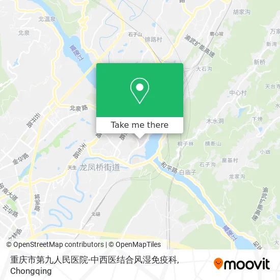 重庆市第九人民医院-中西医结合风湿免疫科 map