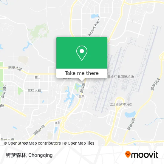 孵梦森林 map