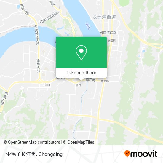 雷毛子长江鱼 map