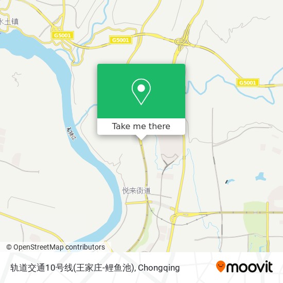 轨道交通10号线(王家庄-鲤鱼池) map