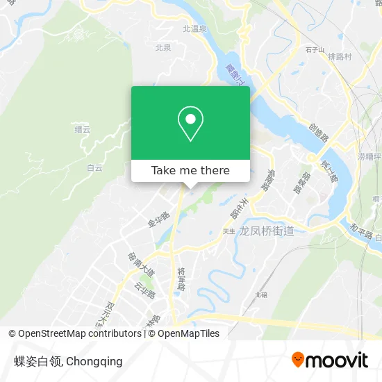 蝶姿白领 map