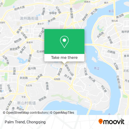 Palm Trend map