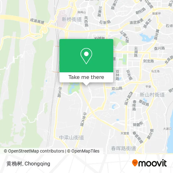 黄桷树 map